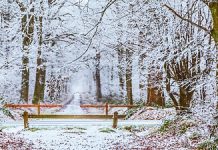 winterdip